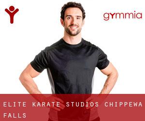 Elite Karate Studios (Chippewa Falls)