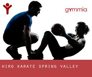 Hiro Karate (Spring Valley)