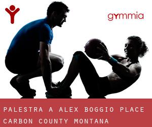 palestra a Alex Boggio Place (Carbon County, Montana)