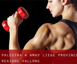 palestra a Amay (Liège Province, Regione Vallone)