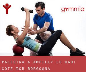 palestra a Ampilly-le-Haut (Cote d'Or, Borgogna)