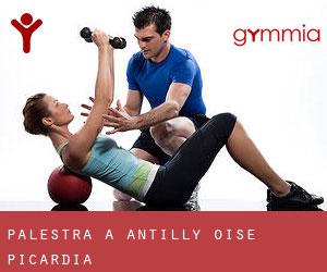 palestra a Antilly (Oise, Picardia)