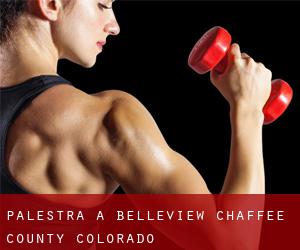palestra a Belleview (Chaffee County, Colorado)