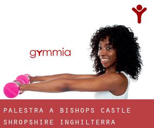 palestra a Bishop's Castle (Shropshire, Inghilterra)