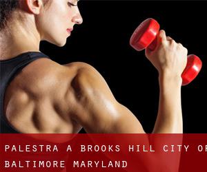 palestra a Brooks Hill (City of Baltimore, Maryland)