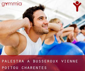 palestra a Busseroux (Vienne, Poitou-Charentes)