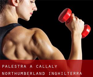 palestra a Callaly (Northumberland, Inghilterra)