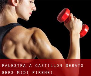 palestra a Castillon-Debats (Gers, Midi-Pirenei)