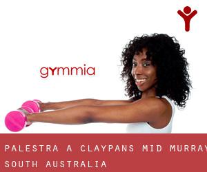 palestra a Claypans (Mid Murray, South Australia)