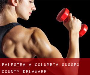 palestra a Columbia (Sussex County, Delaware)