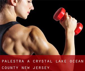 palestra a Crystal Lake (Ocean County, New Jersey)