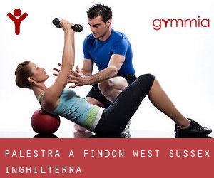 palestra a Findon (West Sussex, Inghilterra)