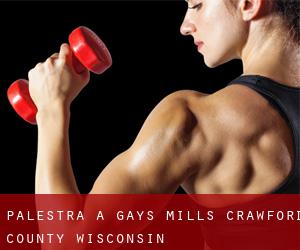 palestra a Gays Mills (Crawford County, Wisconsin)