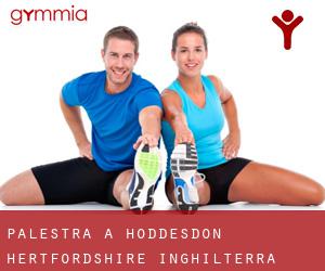 palestra a Hoddesdon (Hertfordshire, Inghilterra)