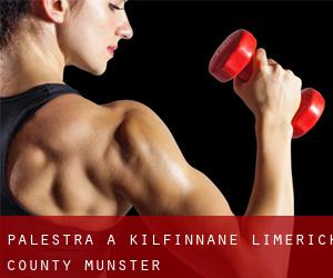 palestra a Kilfinnane (Limerick County, Munster)