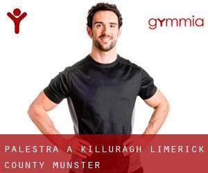 palestra a Killuragh (Limerick County, Munster)