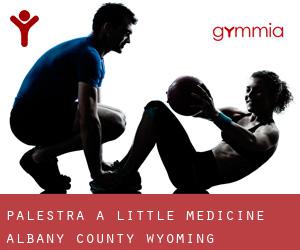 palestra a Little Medicine (Albany County, Wyoming)