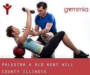 palestra a Old Kent (Will County, Illinois)