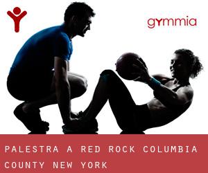 palestra a Red Rock (Columbia County, New York)
