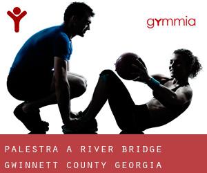 palestra a River Bridge (Gwinnett County, Georgia)