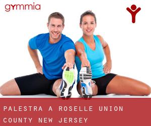 palestra a Roselle (Union County, New Jersey)