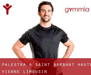 palestra a Saint-Barbant (Haute-Vienne, Limousin)