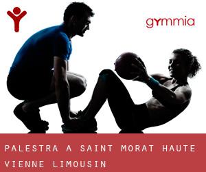 palestra a Saint-Morat (Haute-Vienne, Limousin)