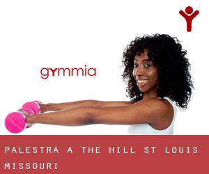 palestra a The Hill (St. Louis, Missouri)
