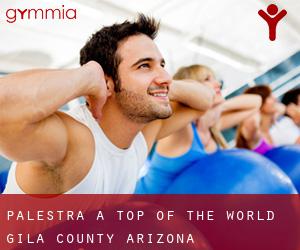 palestra a Top-of-the-World (Gila County, Arizona)