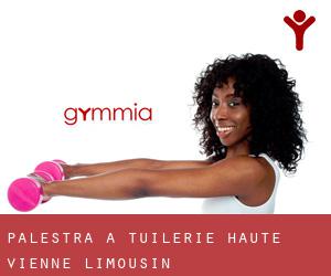 palestra a Tuilerie (Haute-Vienne, Limousin)