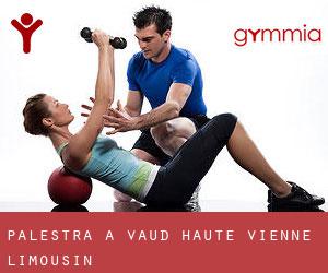 palestra a Vaud (Haute-Vienne, Limousin)