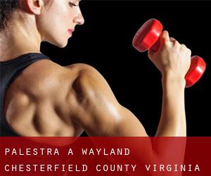 palestra a Wayland (Chesterfield County, Virginia)