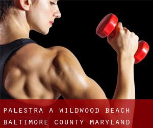palestra a Wildwood Beach (Baltimore County, Maryland)