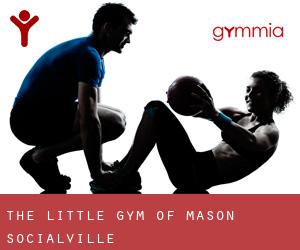 The Little Gym of Mason (Socialville)