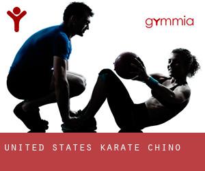 United States Karate (Chino)
